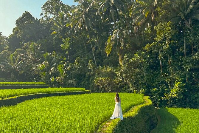 Private Customize Ubud Day Tour With Experienced Driver - Is This Tour Right for You?