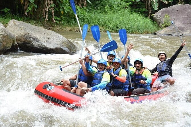 Bali Rafting 2 Hours with Buffet Lunch - Authentic Feedback From Travelers