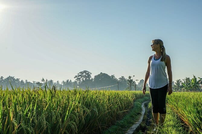 Sidemen Highlights Day Tour - What Makes This Tour Stand Out