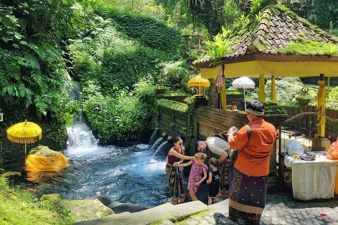 Bali Customizable Multi Language Tour with Driver-Guide - Exploring Bali with a Customizable Multi-Language Driver-Guide: A Practical Review