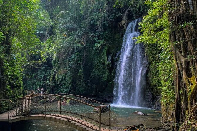 All Inclusive of Ubud Top Attraction - Exploring Bali’s Heart: The Full Breakdown of the Tour