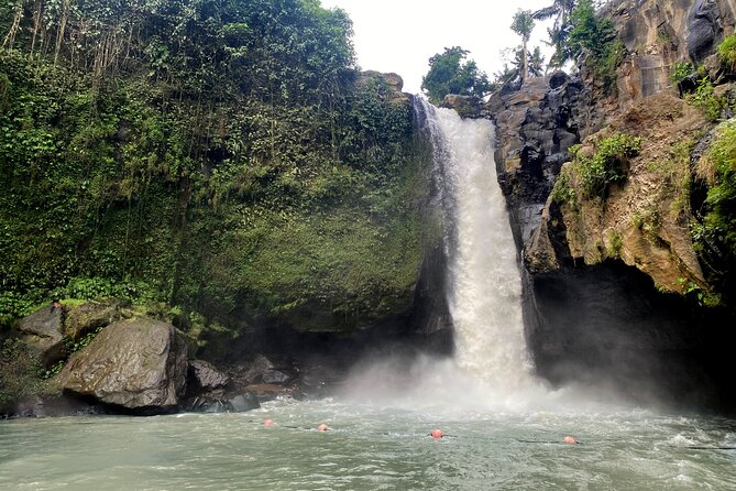 Private Bali Custom Tour  Full Day with English-Speaking Driver - Authentic Insights from Reviewers