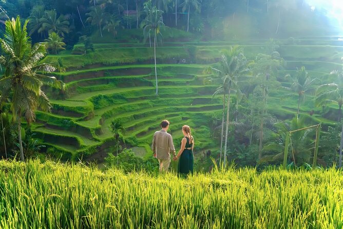 UBUD Private Tour  Rice Terrace, Jungle Swing & Hidden Waterfall - The Experience in Practice: What to Expect
