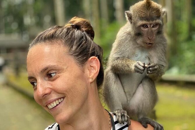 UBUD Private Tour  Rice Terrace, Jungle Swing & Hidden Waterfall - Value and Practical Tips