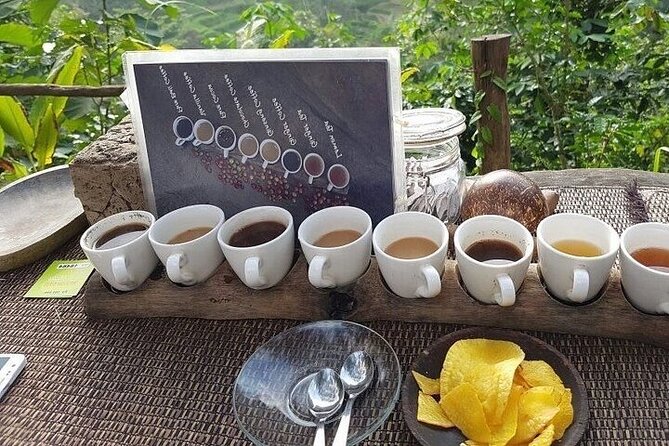 UBUD Private Tour  Rice Terrace, Jungle Swing & Hidden Waterfall - The Sum Up