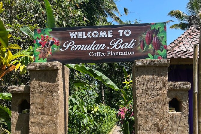 Tour in Ubud with a Private Driver - The Experience from Our Review Perspective