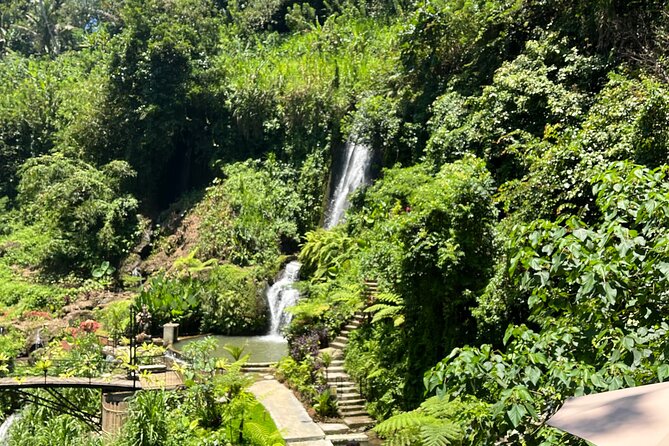 Tour in Ubud with a Private Driver - FAQs