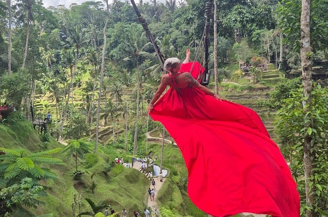 Tour in Ubud with a Private Driver - Who Should Consider This Tour?