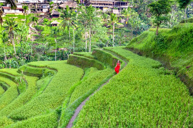 Discover The Best of Ubud: All-Inclusive and Private Guided Tour - The Practicalities: What You Should Know