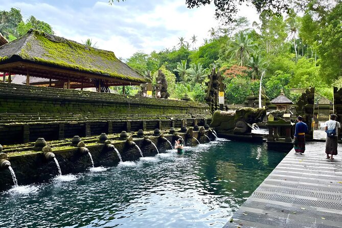 Discover The Best of Ubud: All-Inclusive and Private Guided Tour - An Overview of the Experience