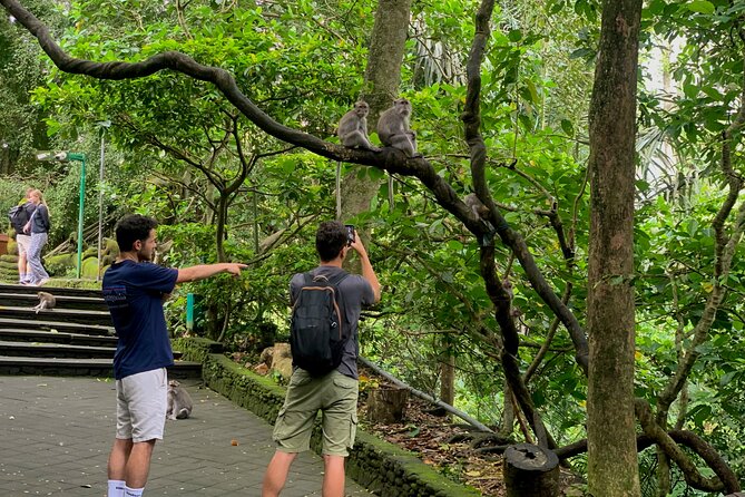 Discover The Best of Ubud: All-Inclusive and Private Guided Tour - Final Thoughts