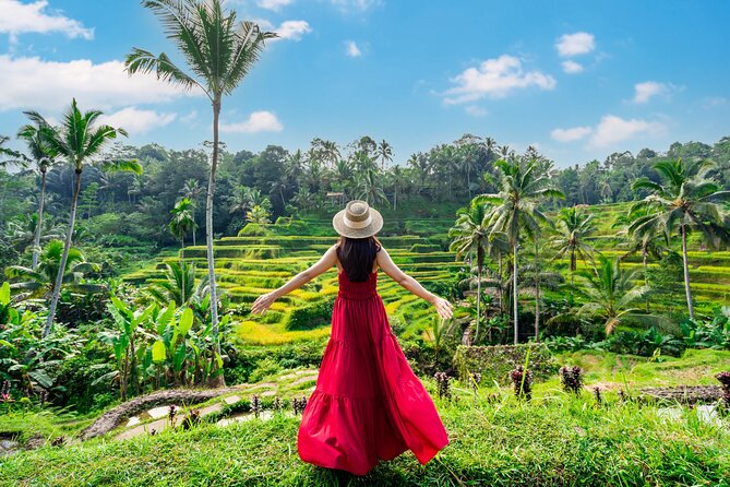 Ubud Private Tour: Waterfalls, Temple and Rice Terraces Swing - The Itinerary: A Day to Remember