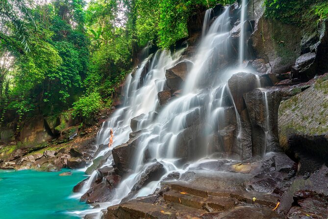 Ubud Private Tour: Waterfalls, Temple and Rice Terraces Swing - Final Thoughts