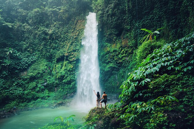 Ubud Private Tour: Waterfalls, Temple and Rice Terraces Swing - Who Is This Tour Best For?