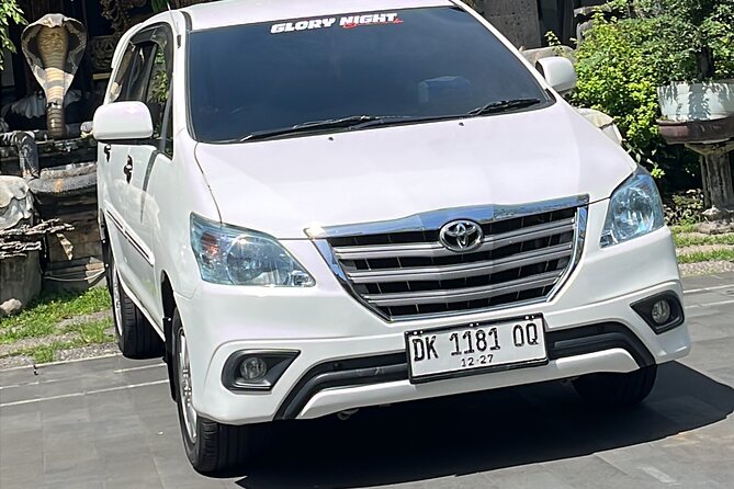 Bali Samanic Healing Purification Natural - Why This Experience Offers Great Value