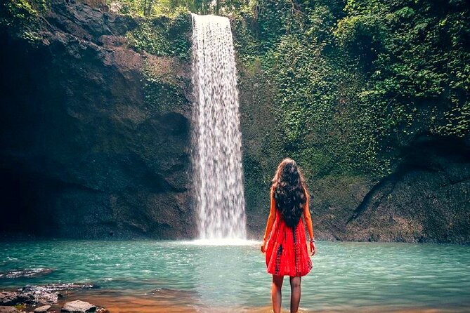 Bali Ubud Zipline, Monkey Forest and Waterfall Adventure - The Experience of the Guide and Transportation