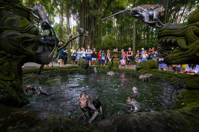 Bali Ubud Zipline, Monkey Forest and Waterfall Adventure - Who Is This Tour Best For?