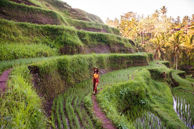 Ubud Full Day ATV Adventure with Rice Terrace and Temple Ritual - FAQ