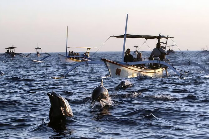 Bali Dolphin Lovina Watching, Swimming and Snorkeling Tour - Who Should Consider This Tour?