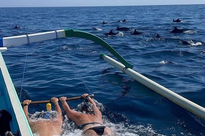 Bali Dolphin Lovina Watching, Swimming and Snorkeling Tour - Good To Know