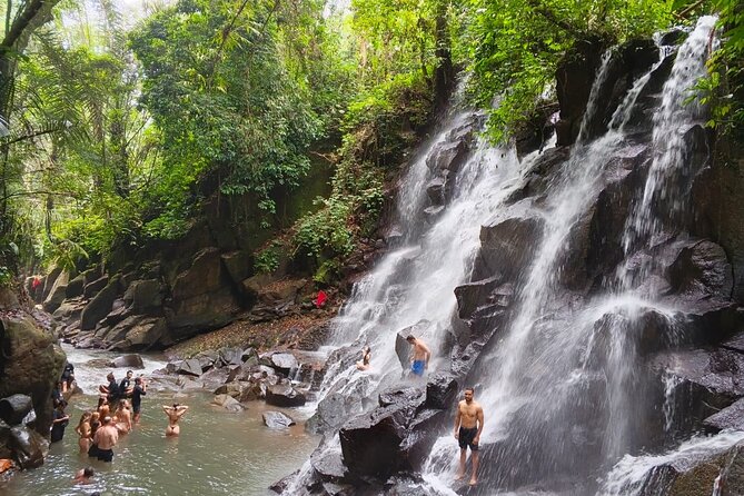 Bali: Ubud Rice terrace, water temple, and waterfall Tour - What’s Included and What You Should Know