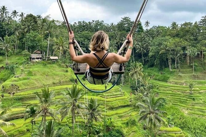 Bali: Ubud Rice terrace, water temple, and waterfall Tour - The Sum Up