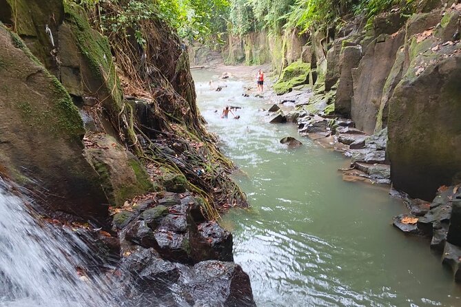 Bali: Ubud Rice terrace, water temple, and waterfall Tour - Who Will Love This Tour?