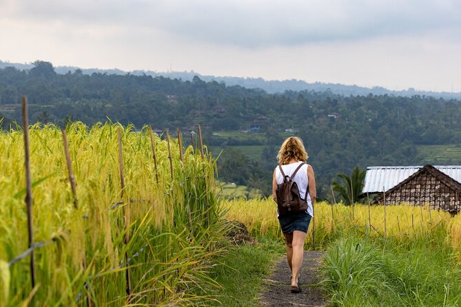 Hidden Bali Gems Sekumpul, Sacred Temples and Jatiluwih - Practical Details and What to Expect