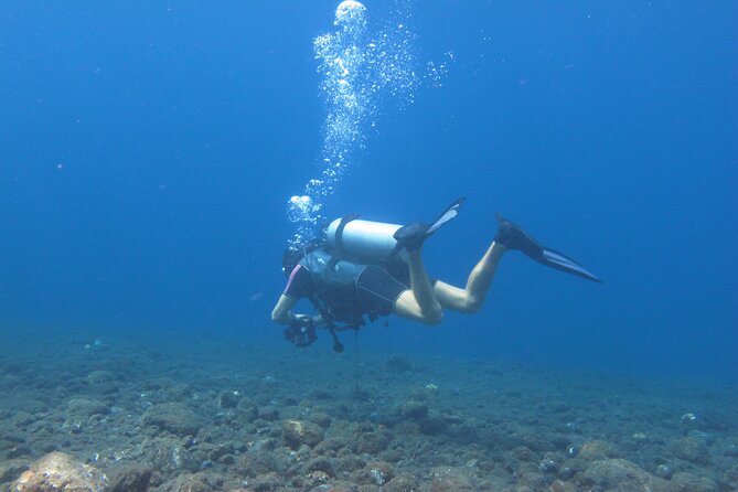 Discover Scuba Diving Day Trip in Amed and Tulamben - Insights from Reviews and Practical Tips