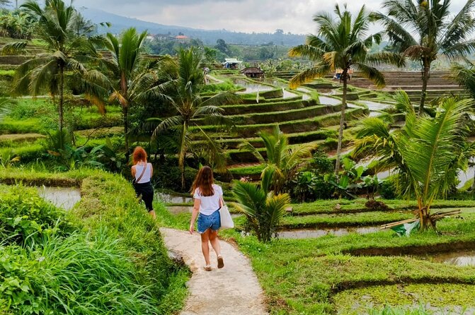 North Bali Nature and Heritage Private Tour - What Makes This Tour Stand Out