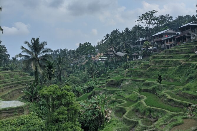Bali Private Customizable Tour - What’s Included and What to Budget For
