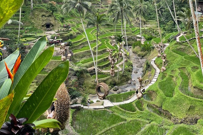 Bali Private Customizable Tour - Potential Drawbacks