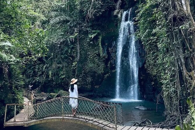 Rice Terrace, Temple, Ulu Petanu Waterfall with Pro Photographer - Authentic Experiences and Unique Highlights