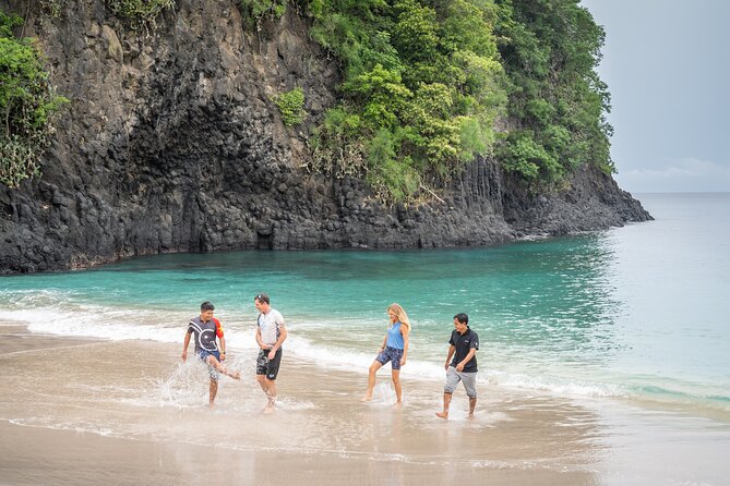 Kaura: Bike to Beach & Choose Optional Tour with Private Transfer - An In-Depth Look at the Experience