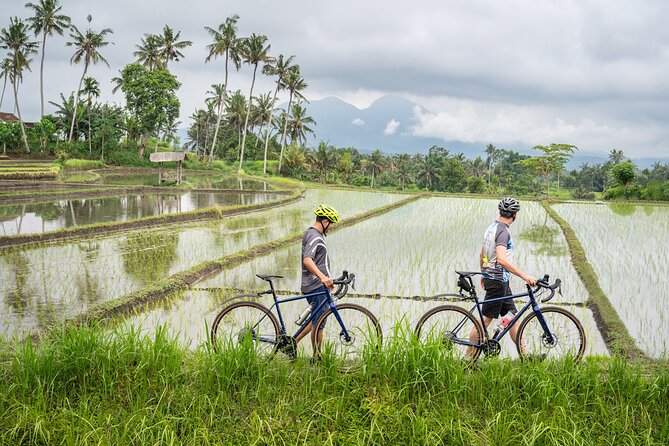 Kaura: Bike to Beach & Choose Optional Tour with Private Transfer - Value and Practicalities