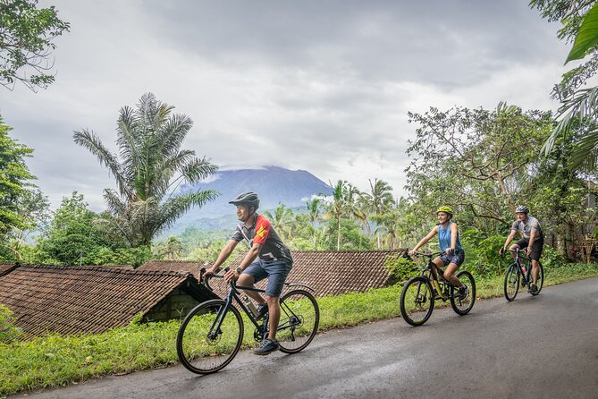 Kaura: Bike to Beach & Choose Optional Tour with Private Transfer - Key Points