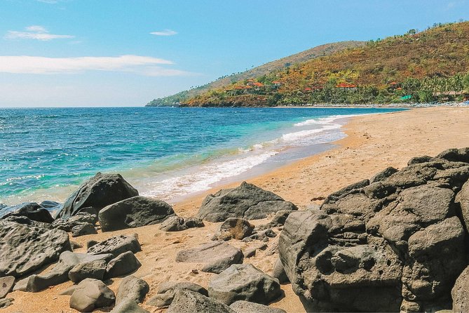 Amed Bali Snorkelling: Japanese Shipwreck & Vienna Beach Tour - Final Summary: Who Will Love This Tour?