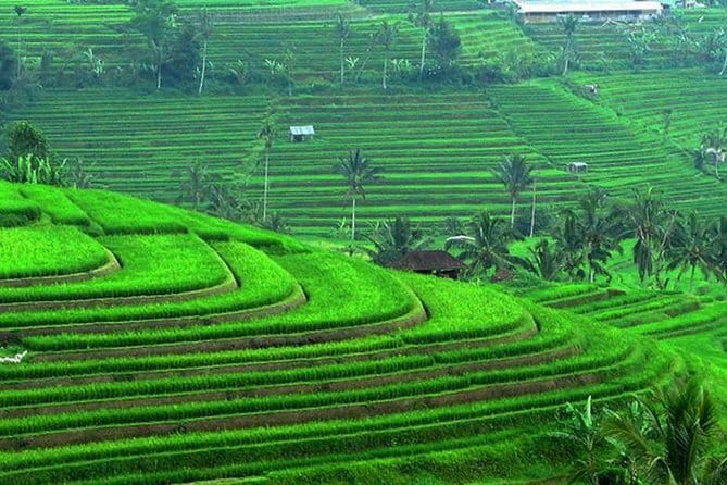 Handara Gate, Bratan Temple & Insta Spots - Key Points