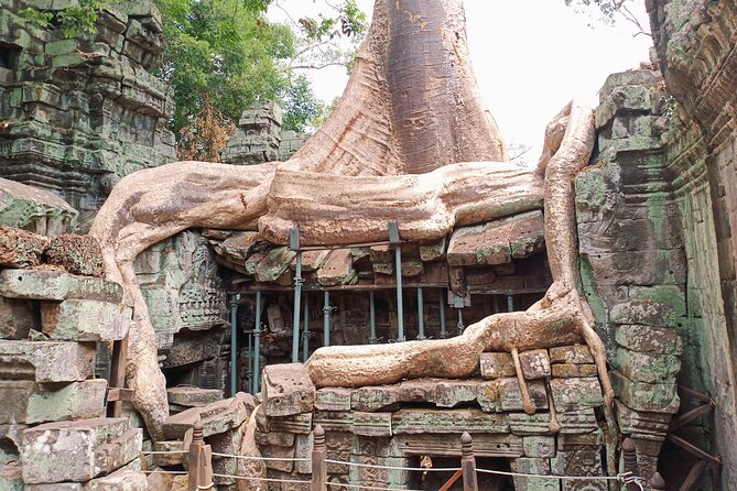 Private Three Day Trip in Siem Reap - Who Is This Tour Best For?