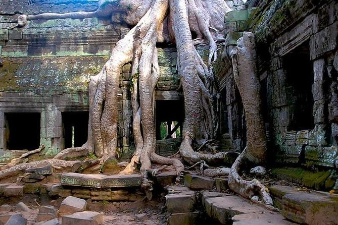Koh Ker & Beng Mealea Full-Day Join-in Tour by Minivan - The Allure of Cambodia’s Hidden Archaeological Gems
