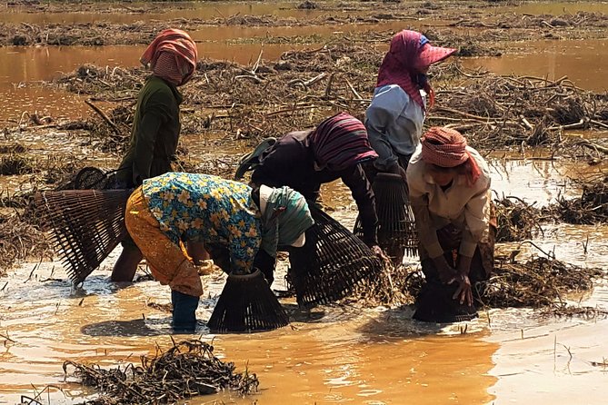 1day private tour all main temple in Angkor,sunset at TonleSap floating village - Pricing: Value and Whats Included