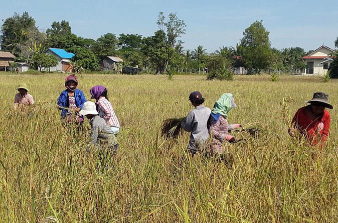 1day private tour all main temple in Angkor,sunset at TonleSap floating village - FAQs