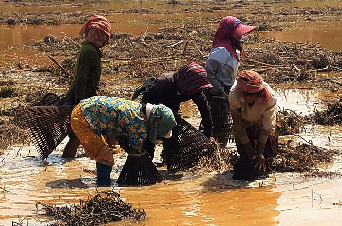 1day private tour all main temple in Angkor,sunset at TonleSap floating village - Final Thoughts: Who Should Book This Tour?