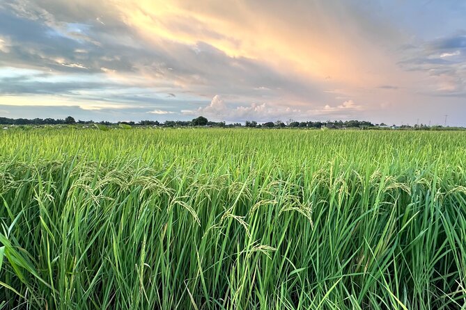 Private Transfer From Siem Reap Airport to Hotel - FAQ