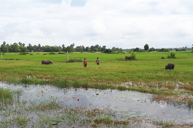 Tuk Tuk Journey: Exploring Rural Life and Silk Farm Craftsmanship - Why This Tour Offers Great Value