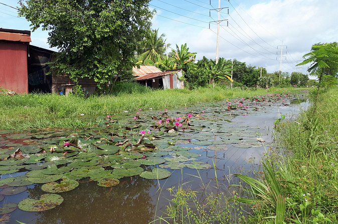 Tuk Tuk Journey: Exploring Rural Life and Silk Farm Craftsmanship - Frequently Asked Questions