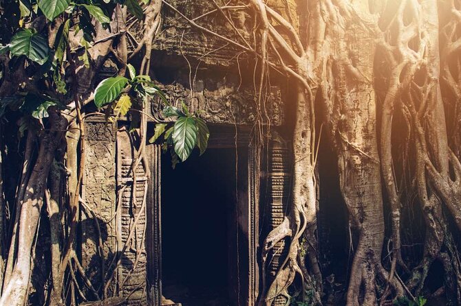 Angkor Thom Ta Prohm and Sunset in Angkor Wat Golden Hour Tour - Authentic Experiences and Traveler Feedback