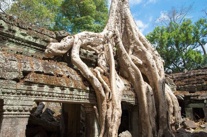 Angkor Thom Ta Prohm and Sunset in Angkor Wat Golden Hour Tour - Frequently Asked Questions