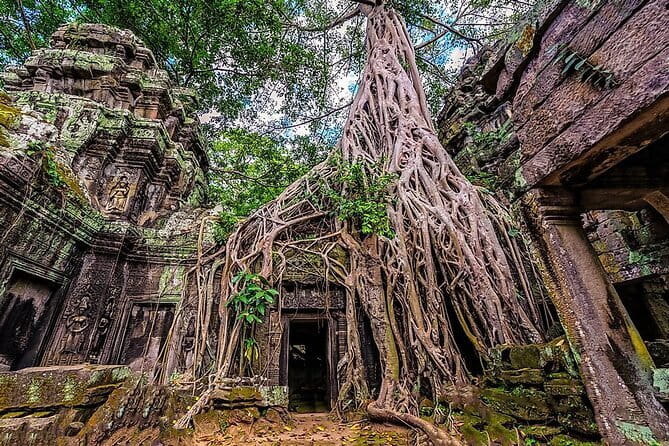 Explore Angkor Sunrise Spectacle a Full Day Temples Tour - Who Should Consider This Tour?