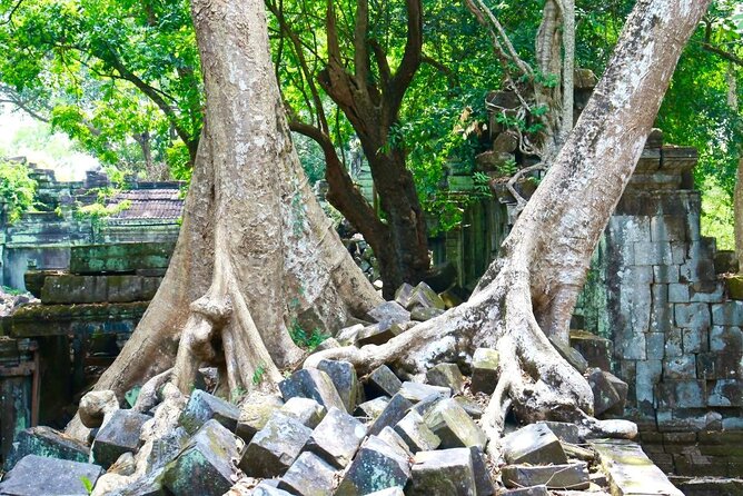 Beng Melea and Koh Ker Jungle Temple Tour from Siem Reap - A Closer Look at the Itinerary